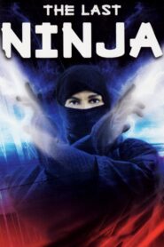 The Last Ninja 1983 on netflix