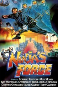 Ninja’s Force 1984 on netflix