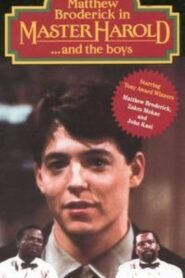 ‘Master Harold’… and the Boys 1985 on netflix
