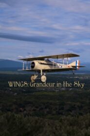 Wings: Grandeur in the Sky 2012 on netflix