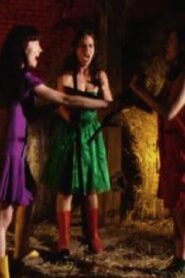 Bitchville 2011 on netflix
