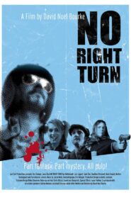 No Right Turn 2009 on netflix