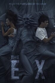 The Ex 2021 on netflix