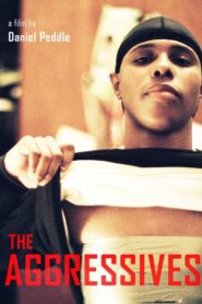 The Aggressives 2005 on netflix