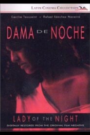 Dama de Noche 1993 on netflix