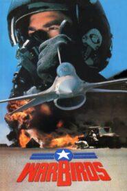 Warbirds 1989 on netflix