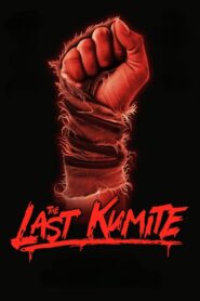 The Last Kumite 2024 on netflix