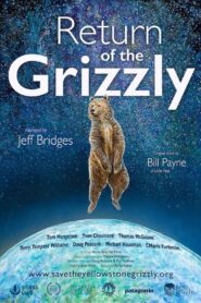 Return of the Grizzly 2023 on netflix