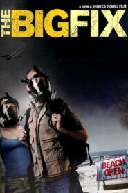 The Big Fix 2011 on netflix