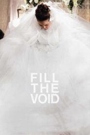 Fill the Void 2012 on netflix