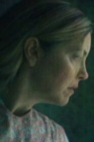 The Handyman 2006 on netflix