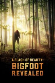 A Flash of Beauty: Bigfoot Revealed 2022 on netflix