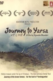 Journey to Yarsa 2011 on netflix