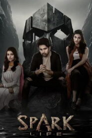 Spark 2023 on netflix