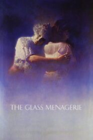 The Glass Menagerie 1987 on netflix