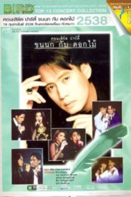 Bird Thongchai Concert Feather and Flowers #1/1995 Feather and Flowers Party 1995 on netflix
