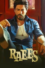 Raees 2017 on netflix