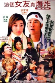 Love Is Love 2004 on netflix