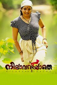 Nilavariyathe 2017 on netflix