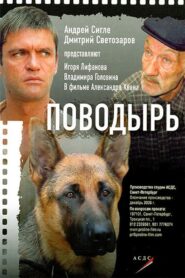 Guide 2007 on netflix