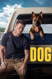 Dog 2022 on netflix
