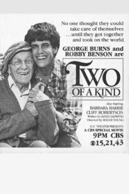 Two of a Kind 1982 on netflix