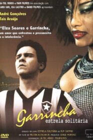 Garrincha: Lonely Star 2003 on netflix