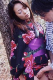 Shufu no Sei: Midara na Yagai Etchi 1999 on netflix
