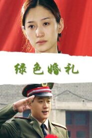 绿色婚礼 2000 on netflix