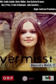 Vanished 2011 on netflix