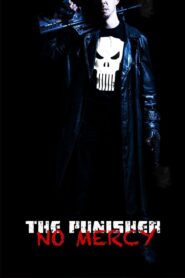 The Punisher: No Mercy 2013 on netflix