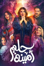 Amina’s Dream 2022 on netflix