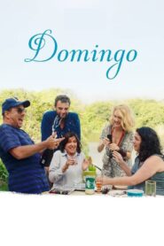 Domingo 2018 on netflix