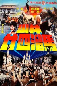 Raiders of the Shaolin Temple 1982 on netflix