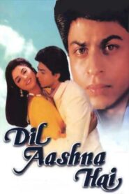 Dil Aashna Hai 1992 on netflix