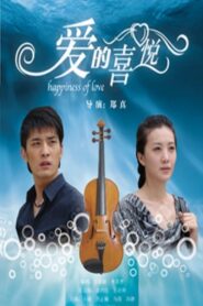 爱的喜悦 2010 on netflix