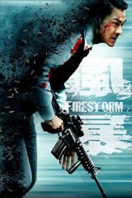 Firestorm 2013 on netflix