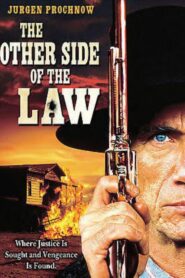 The Other Side of the Law 1994 on netflix