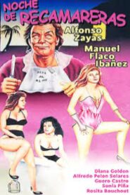 Noche de recamareras 1990 on netflix
