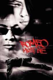Romeo Must Die 2000 on netflix