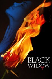 Black Widow 2008 on netflix