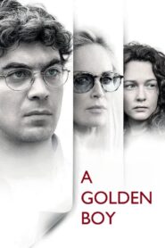 A Golden Boy 2014 on netflix