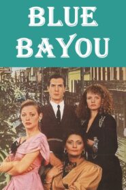 Blue Bayou 1990 on netflix