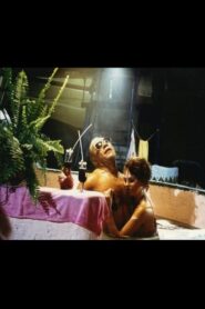 American Mountains 1994 on netflix
