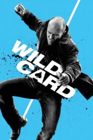 Wild Card 2015 on netflix