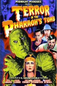 Terror in the Pharaoh’s Tomb 2007 on netflix