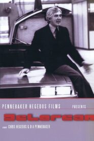 DeLorean 1981 on netflix