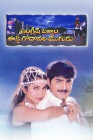 English Pellam East Godavari Mogudu 1999 on netflix