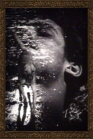 Buñuel 1989 on netflix