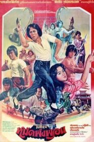 Fearless Master 1980 on netflix